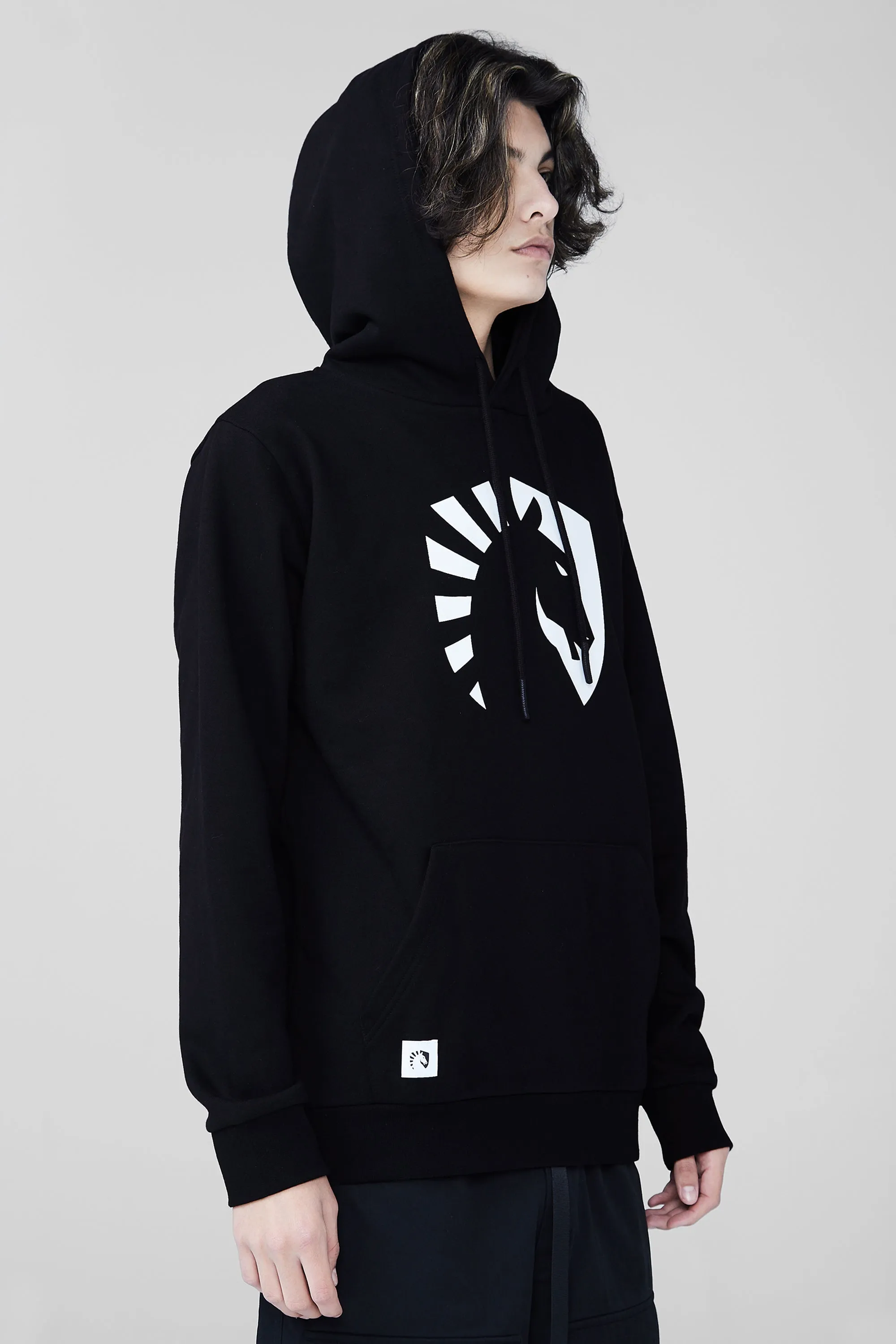 CREST HOODIE