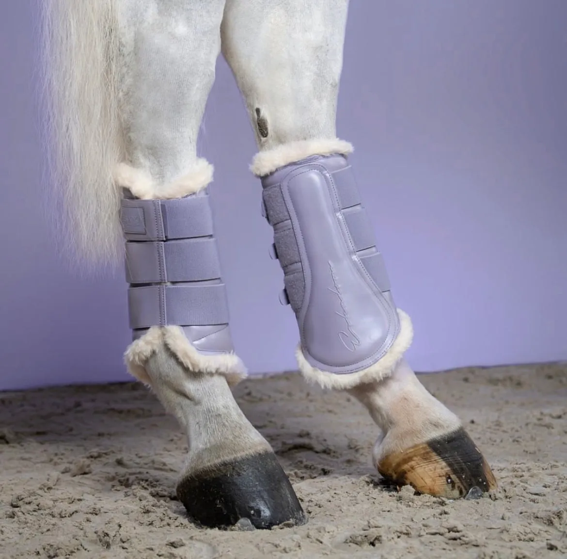 Eskadron Seasonal Classic Sports Mesh Tendon Boots