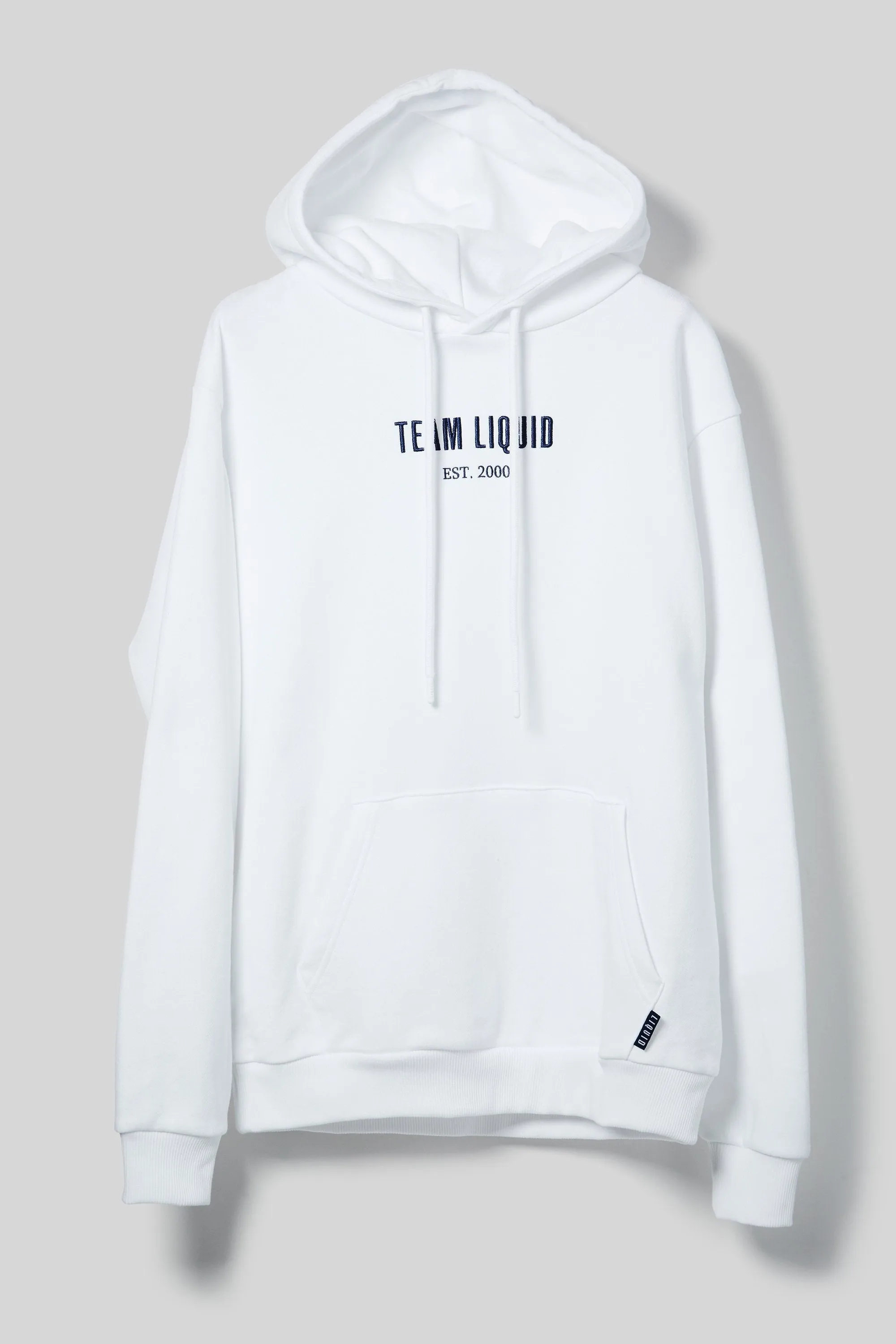 ESTABLISHED HOODIE