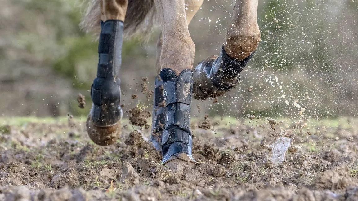 LeMieux Turnout Boots