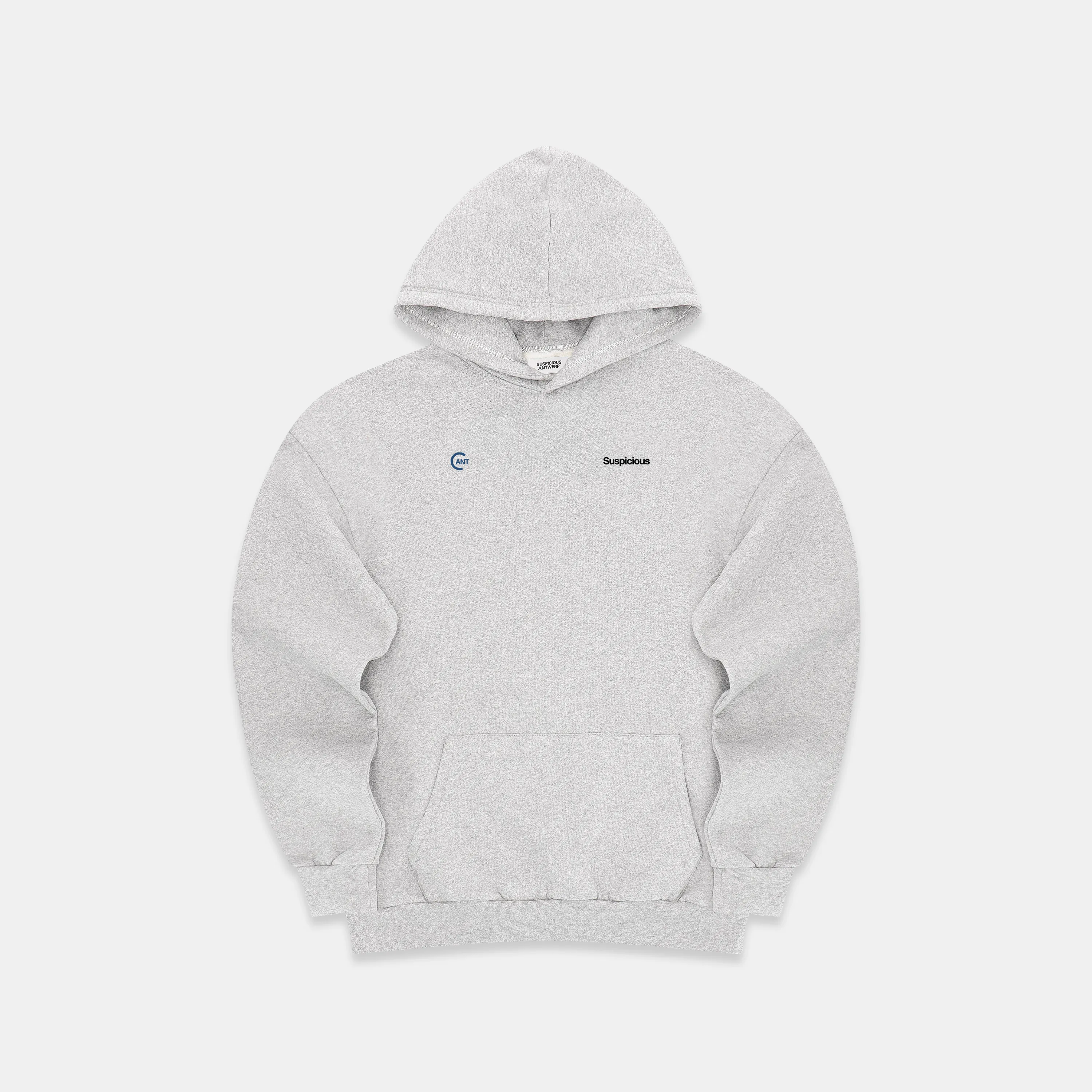 The Antwerp City I Hoodie - Neutral Heather